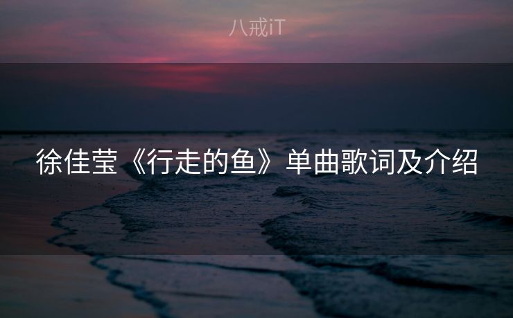 徐佳莹《行走的鱼》单曲歌词及介绍