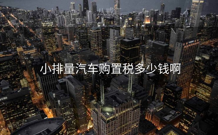  小排量汽车购置税多少钱啊