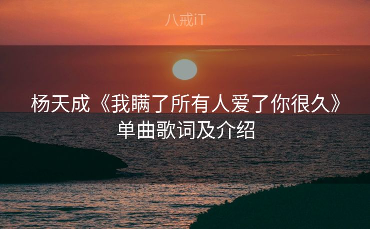 杨天成《我瞒了所有人爱了你很久》单曲歌词及介绍