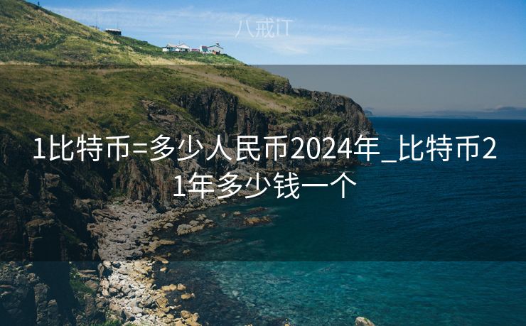 1比特币=多少人民币2024年_比特币21年多少钱一个