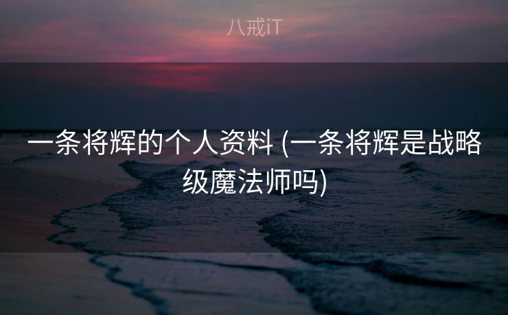 一条将辉的个人资料 (一条将辉是战略级魔法师吗)