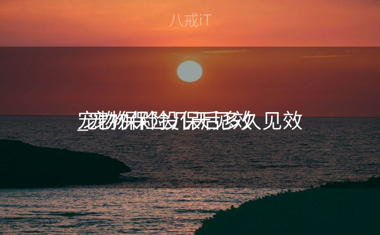 宠物保险投保后多久见效
_宠物保险几天见效
