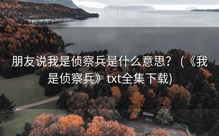 朋友说我是侦察兵是什么意思？ (《我是侦察兵》txt全集下载)