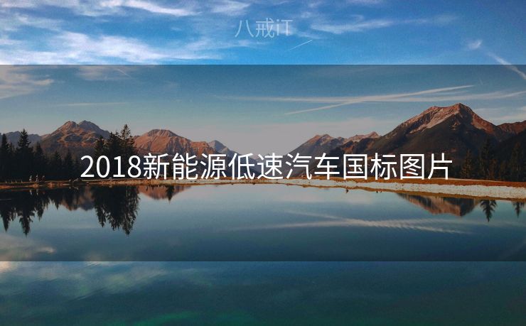  2018新能源低速汽车国标图片