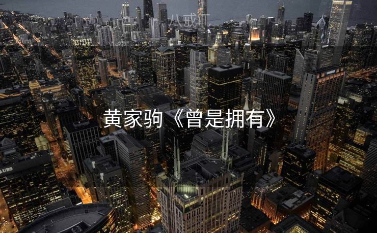 黄家驹《曾是拥有》