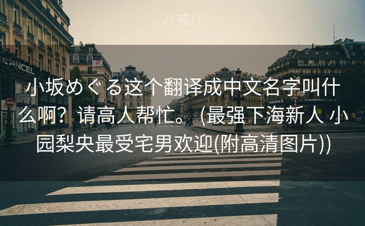 小坂めぐる这个翻译成中文名字叫什么啊？请高人帮忙。 (最强下海新人 小园梨央最受宅男欢迎(附高清图片))
