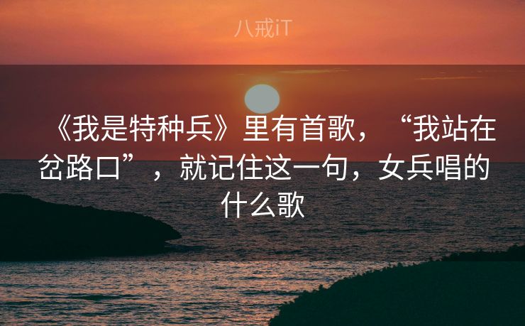 《我是特种兵》里有首歌，“我站在岔路口”，就记住这一句，女兵唱的什么歌