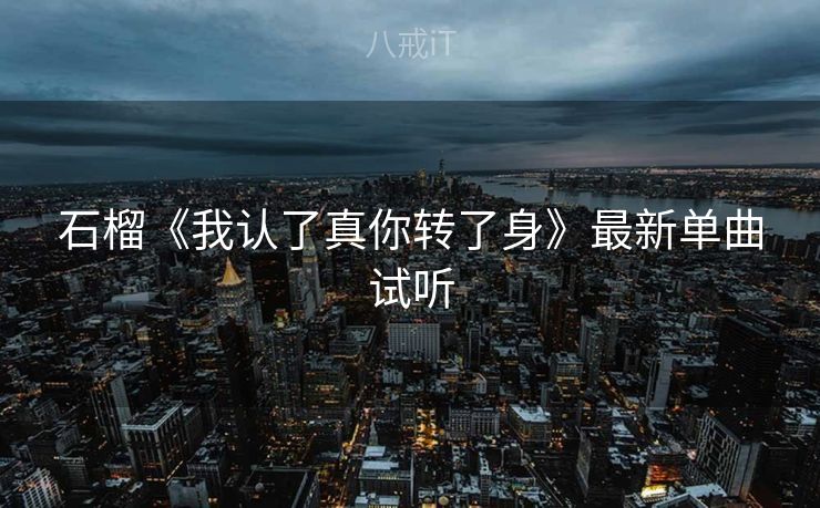 石榴《我认了真你转了身》最新单曲试听