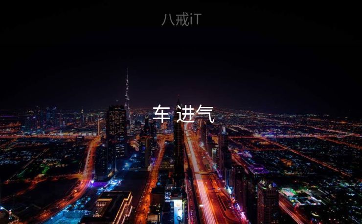  车 进气