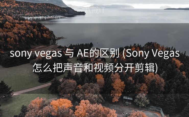 sony vegas 与 AE的区别 (Sony Vegas怎么把声音和视频分开剪辑)