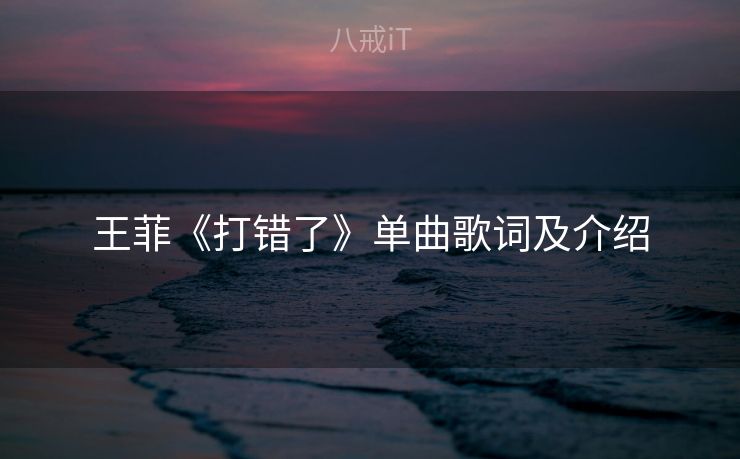 王菲《打错了》单曲歌词及介绍