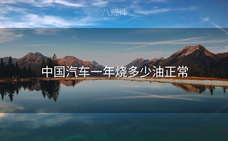 中国汽车一年烧多少油正常 中国汽车一年烧多少油正常