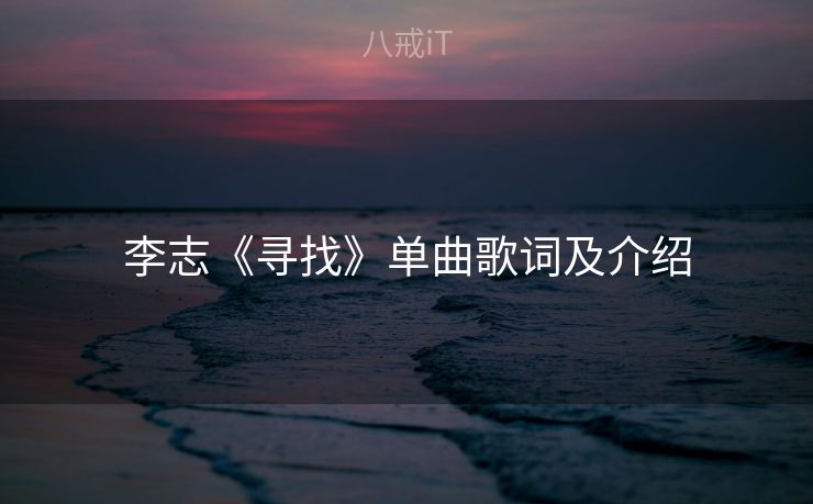 李志《寻找》单曲歌词及介绍