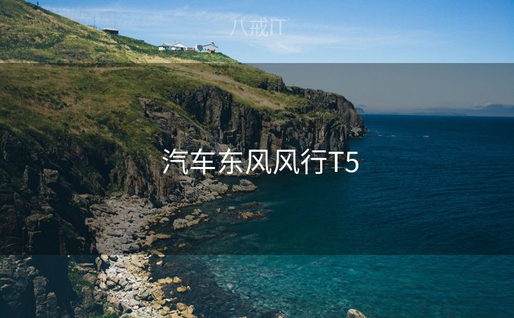  汽车东风风行T5