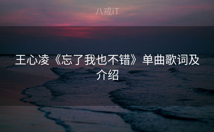 王心凌《忘了我也不错》单曲歌词及介绍