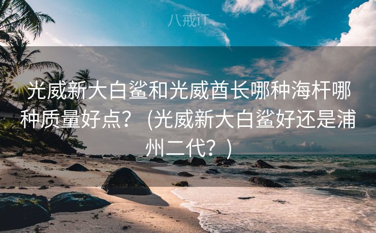 光威新大白鲨和光威酋长哪种海杆哪种质量好点？ (光威新大白鲨好还是浦州二代？)