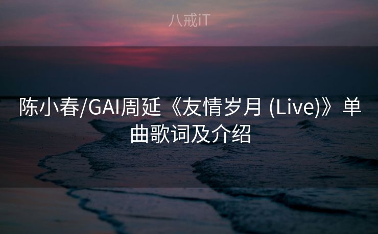 陈小春/GAI周延《友情岁月 (Live)》单曲歌词及介绍