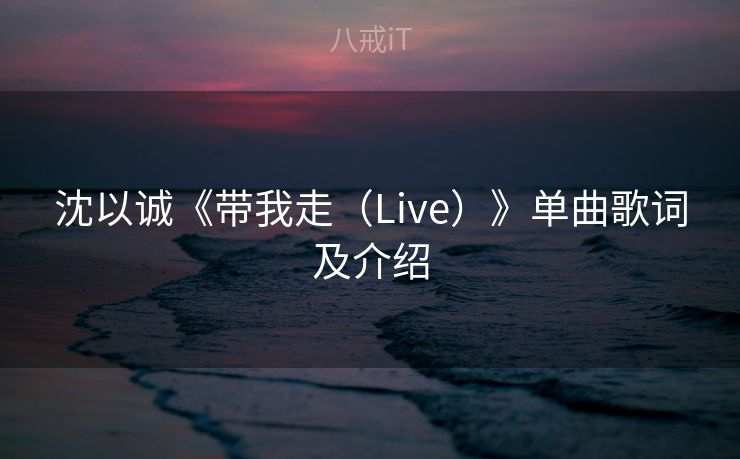沈以诚《带我走（Live）》单曲歌词及介绍