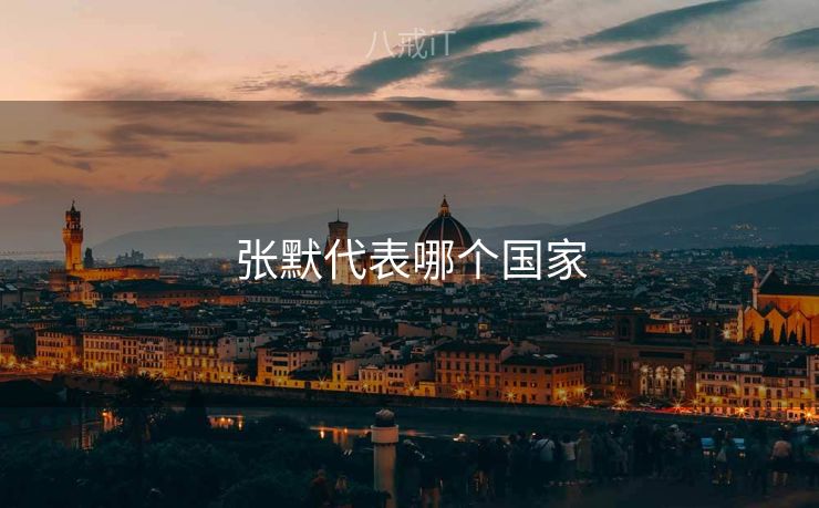 张默代表哪个国家