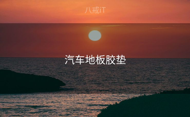 汽车地板胶垫