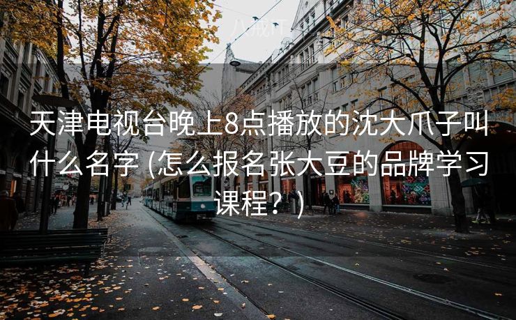 天津电视台晚上8点播放的沈大爪子叫什么名字 (怎么报名张大豆的品牌学习课程？)