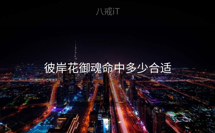 彼岸花御魂命中多少合适