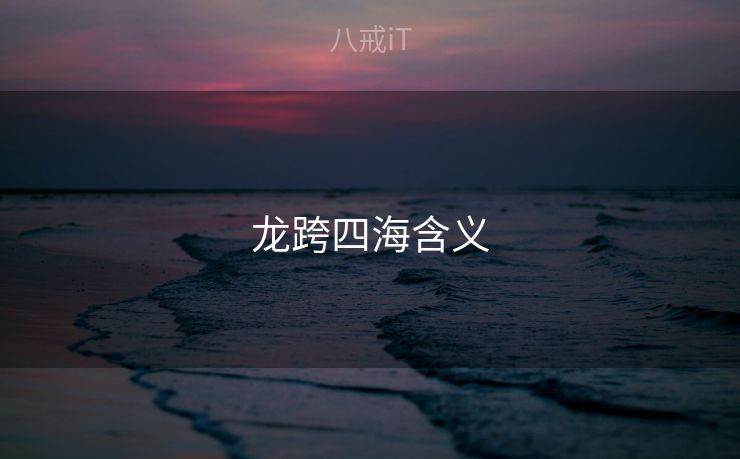 龙跨四海含义