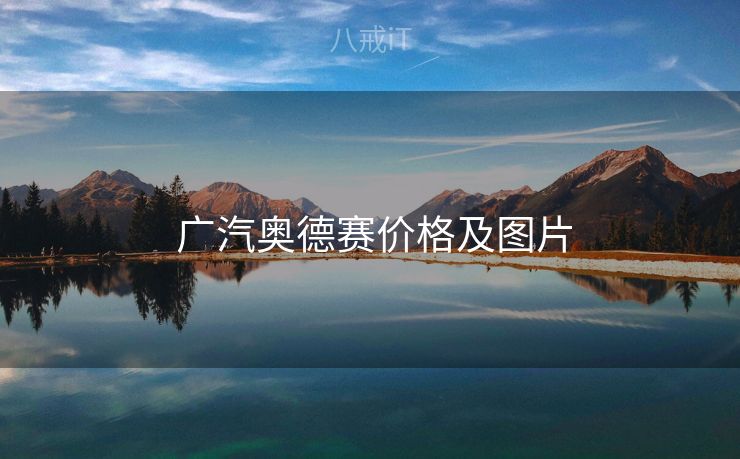  广汽奥德赛价格及图片