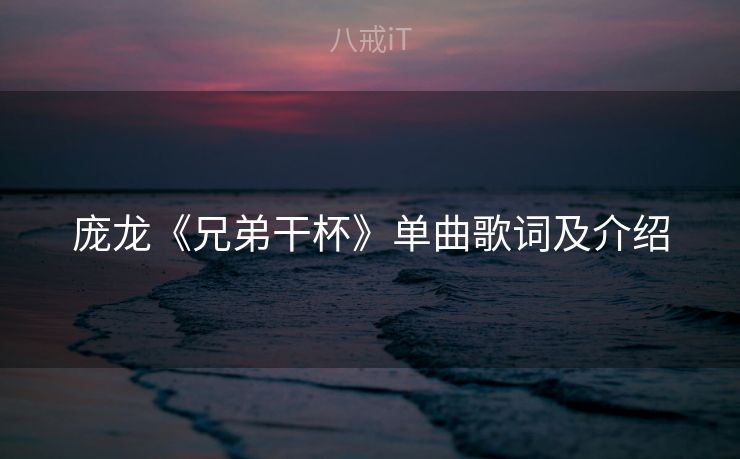 庞龙《兄弟干杯》单曲歌词及介绍