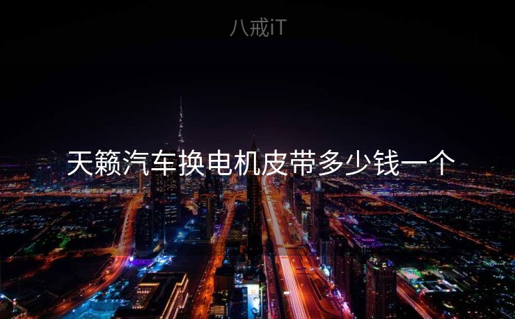  天籁汽车换电机皮带多少钱一个