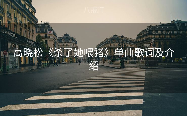 高晓松《杀了她喂猪》单曲歌词及介绍