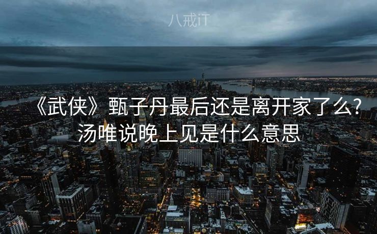 《武侠》甄子丹最后还是离开家了么?汤唯说晚上见是什么意思 《武侠》甄子丹最后还是离开家了么?汤唯说晚上见是什么意思