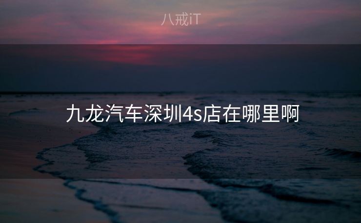 九龙汽车深圳4s店在哪里啊  九龙汽车深圳4s店在哪里啊
