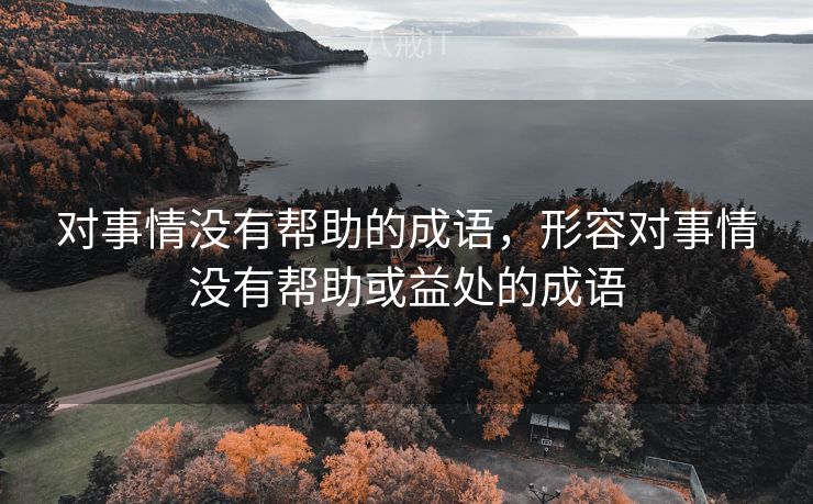 对事情没有帮助的成语，形容对事情没有帮助或益处的成语