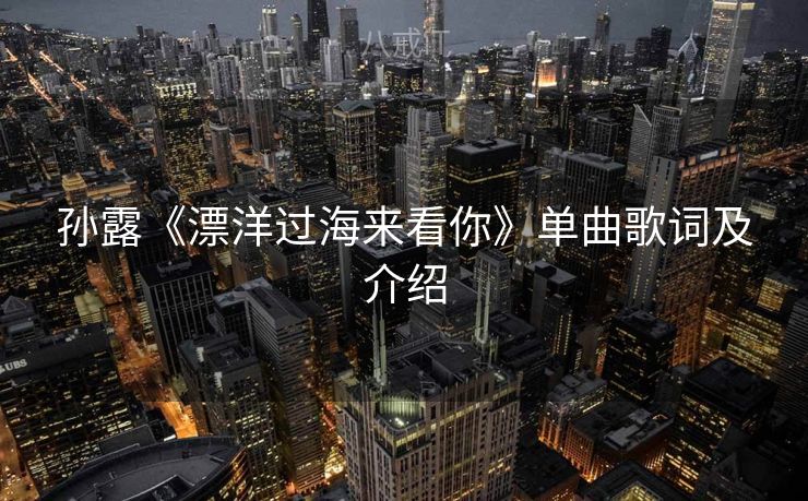 孙露《漂洋过海来看你》单曲歌词及介绍