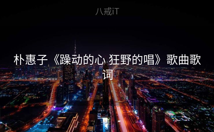 朴惠子《躁动的心 狂野的唱》歌曲歌词