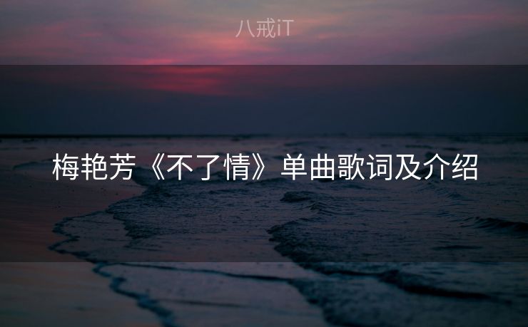 梅艳芳《不了情》单曲歌词及介绍