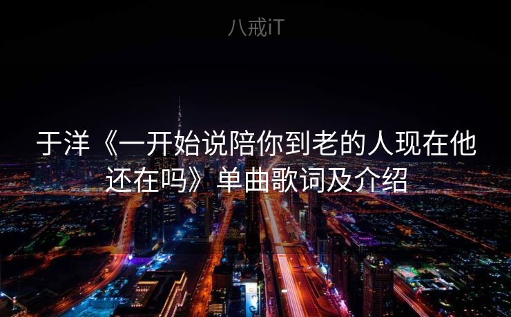 于洋《一开始说陪你到老的人现在他还在吗》单曲歌词及介绍