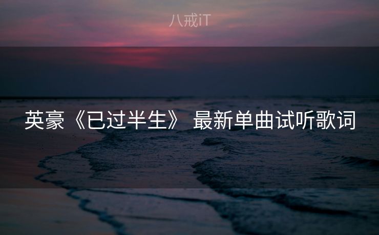 英豪《已过半生》 最新单曲试听歌词