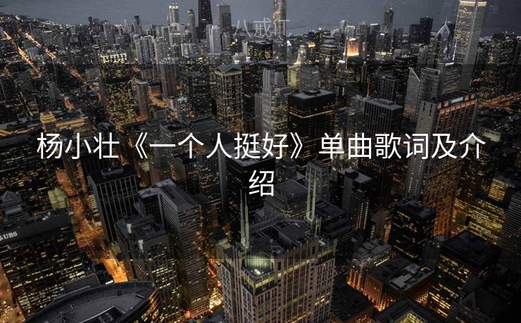 杨小壮《一个人挺好》单曲歌词及介绍 杨小壮《一个人挺好》单曲歌词及介绍