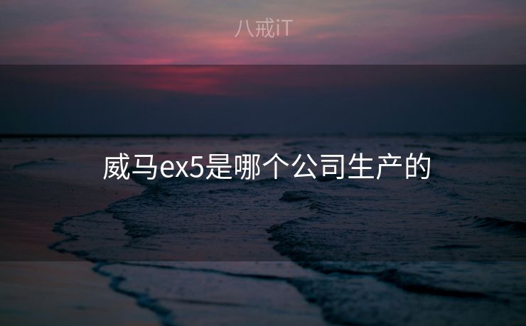  威马ex5是哪个公司生产的
