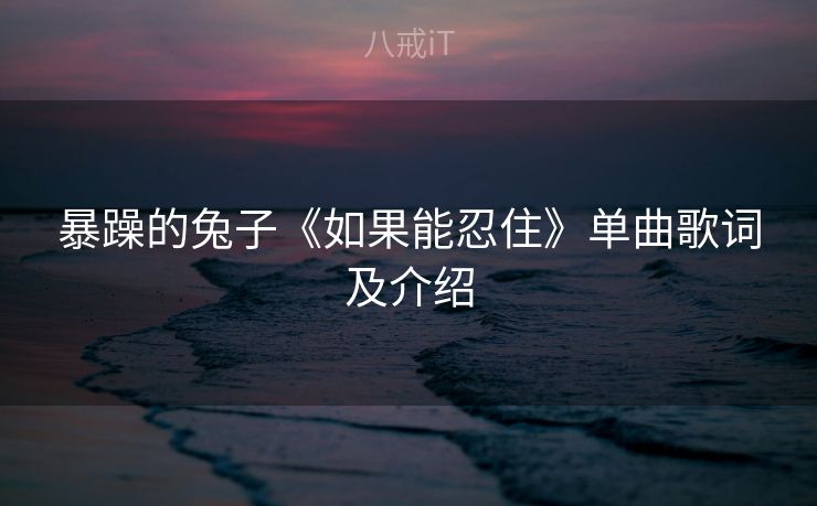 暴躁的兔子《如果能忍住》单曲歌词及介绍