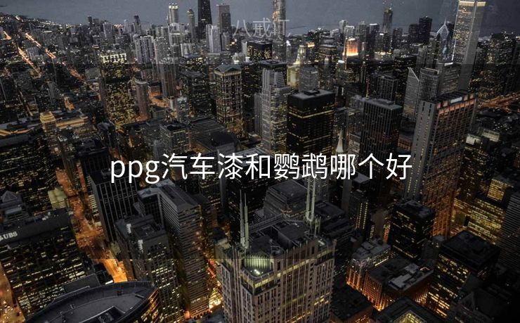 ppg汽车漆和鹦鹉哪个好