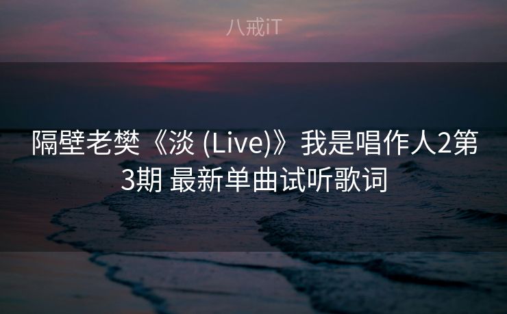 隔壁老樊《淡 (Live)》我是唱作人2第3期 最新单曲试听歌词