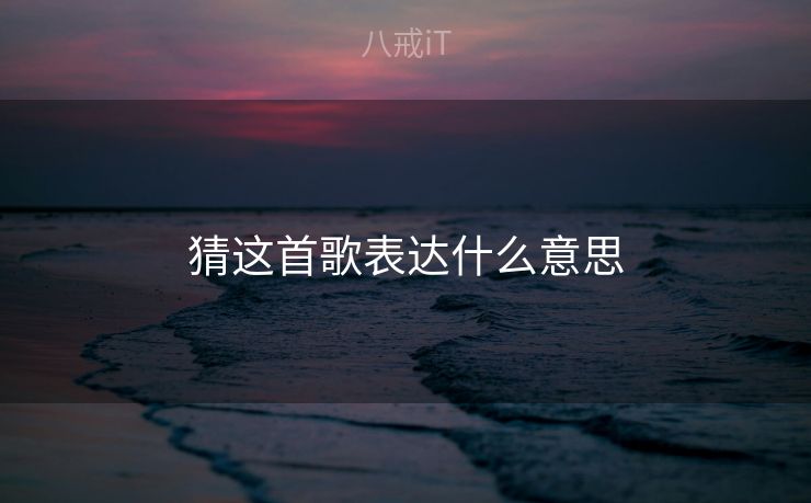猜这首歌表达什么意思