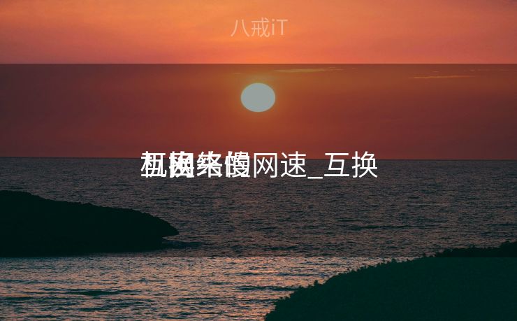 互换
机出来的网速_互换
机网络慢