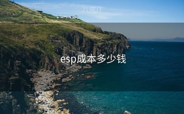  esp成本多少钱
