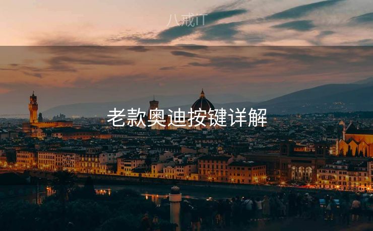 老款奥迪按键详解