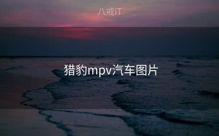  猎豹mpv汽车图片