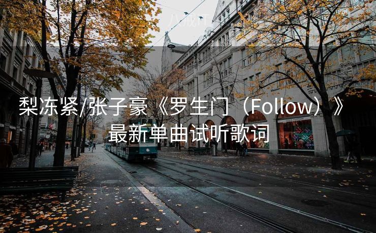 梨冻紧/张子豪《罗生门（Follow）》 最新单曲试听歌词